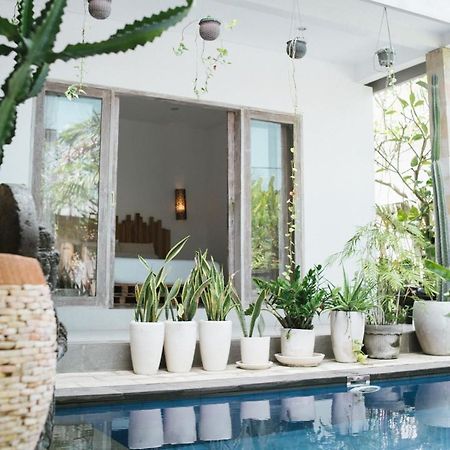 Cat Cow Yoga Villa Canggu Εξωτερικό φωτογραφία