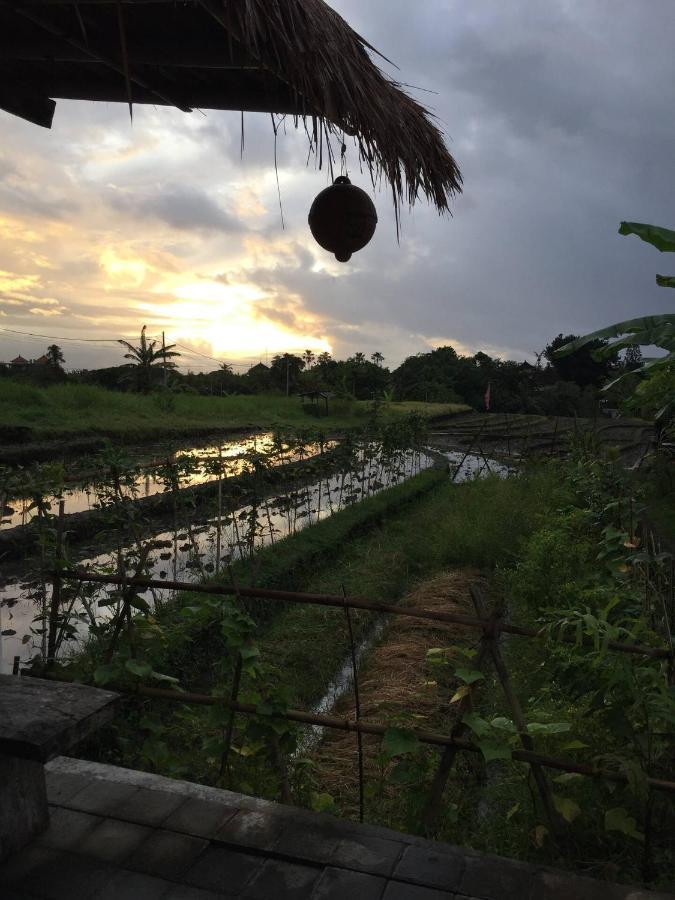 Cat Cow Yoga Villa Canggu Εξωτερικό φωτογραφία