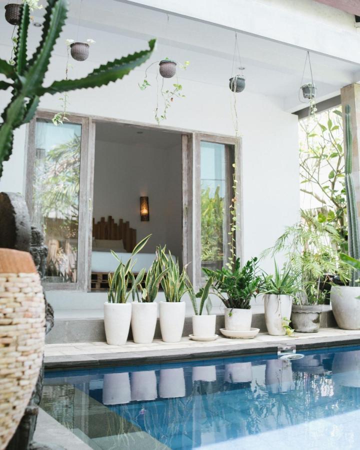 Cat Cow Yoga Villa Canggu Εξωτερικό φωτογραφία